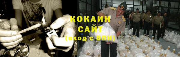 прущие крисы Богданович