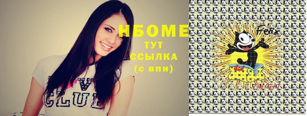 сатива Богородицк