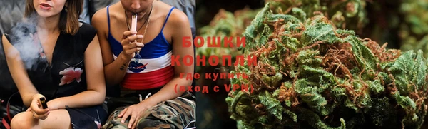 сатива Богородицк