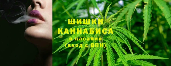 прущие крисы Богданович