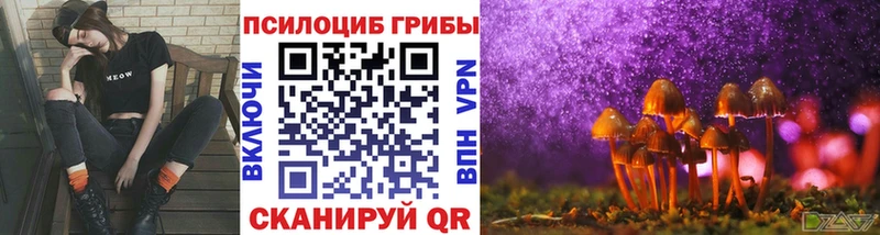 Галлюциногенные грибы мицелий  Купить где  Новотитаровская 